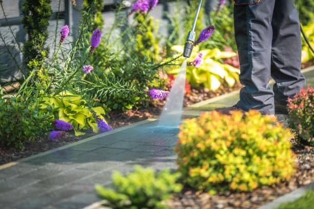 Best Commercial Pressure Washing in North Bennington, VT